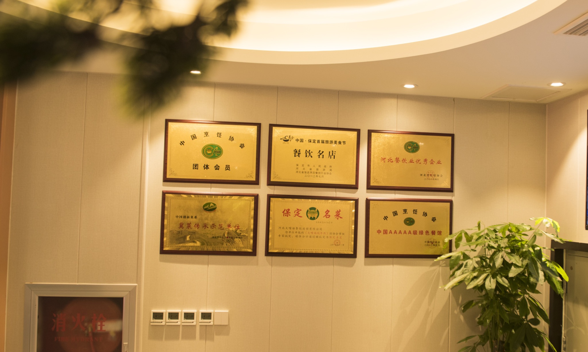 大嘴福：直隶一品烩菜